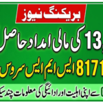 8171 SMS Service Verification