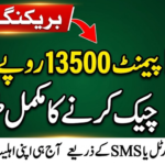 BISP Payment 13500 Check Online