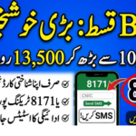 How to Check BISP April Payment