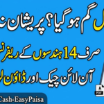 How to Check FESCO Bill Online