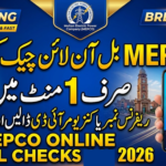 MEPCO Online Bill Check 2026