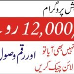 Ehsaas Program 12000 Online Check via 8171 – Complete Guide (2026)