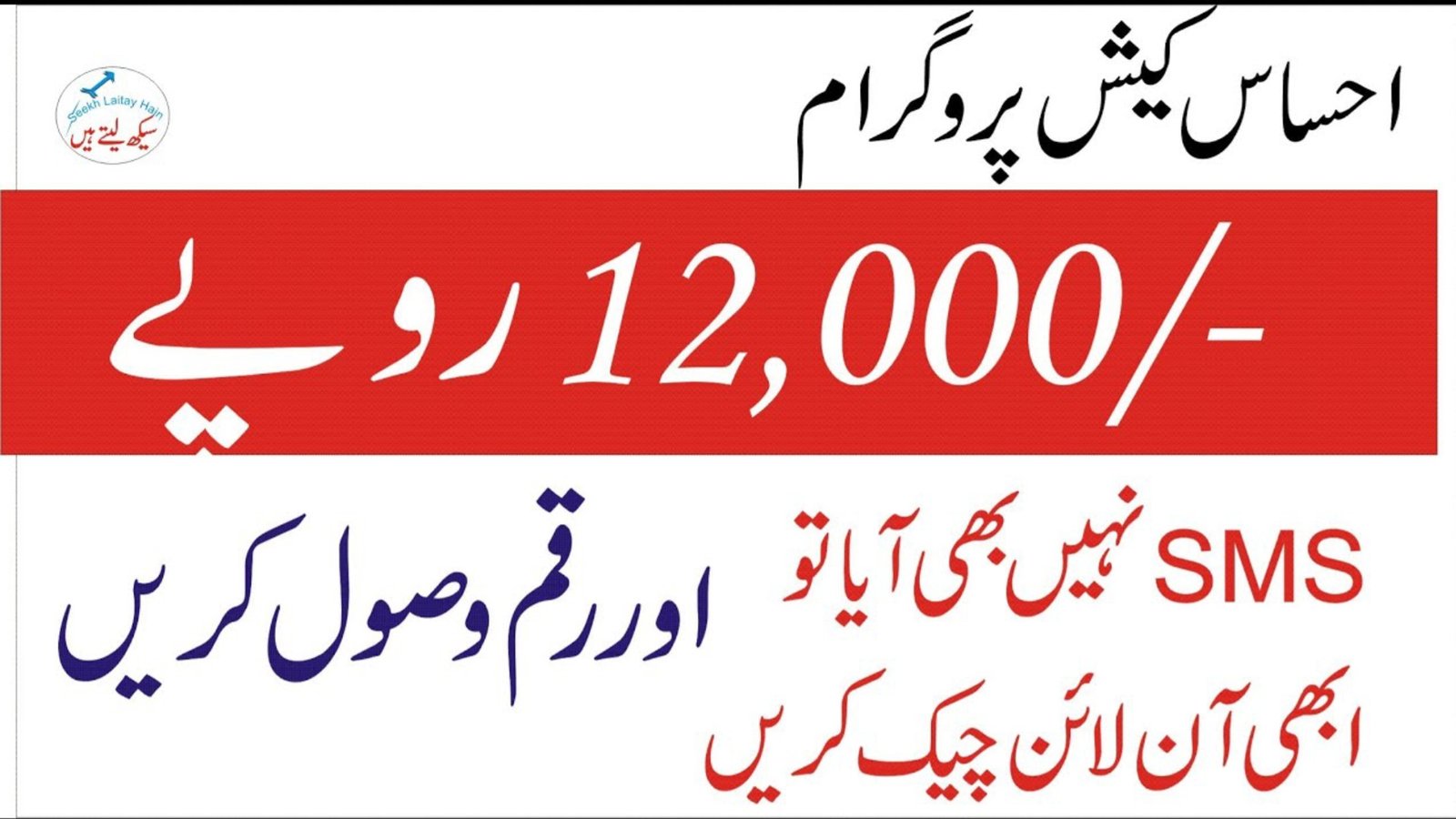 Ehsaas Program 12000 Online Check via 8171 – Complete Guide (2026)