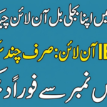 Check the IESCO Bill Online