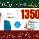8171 Check Online CNIC